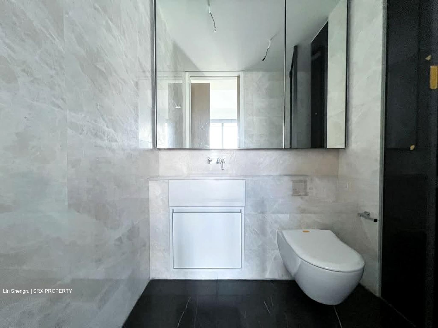 Amber Park (D15), Condominium #566730101